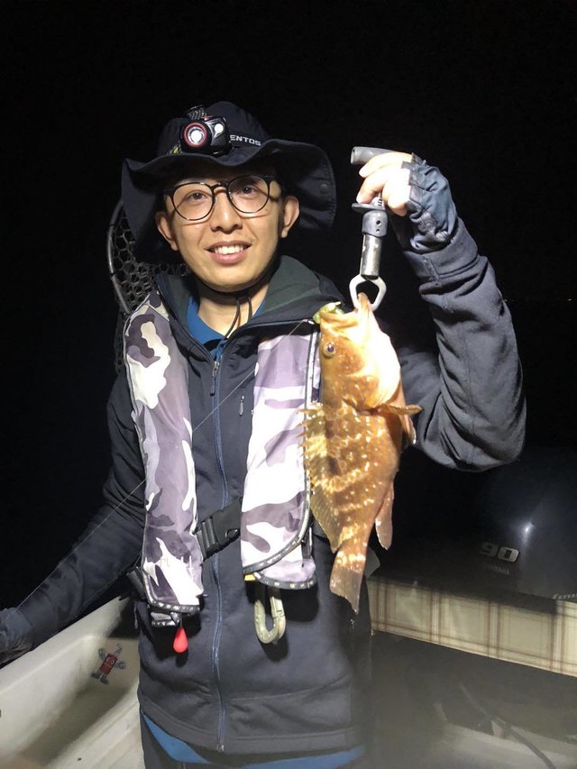 アコウ(キジハタ)