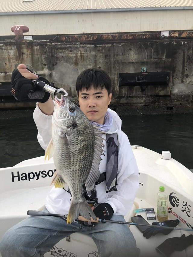 チヌ(クロダイ)