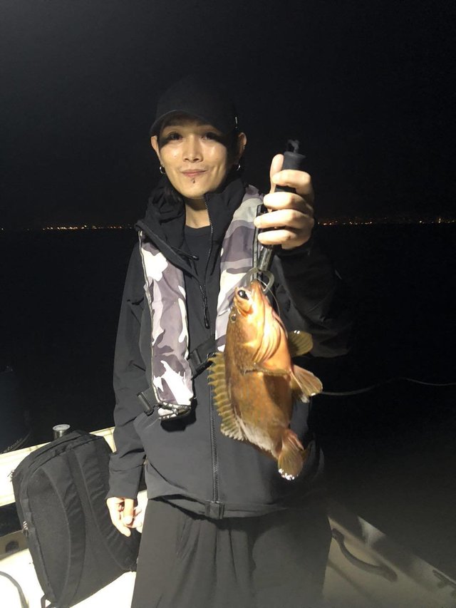 アコウ(キジハタ)