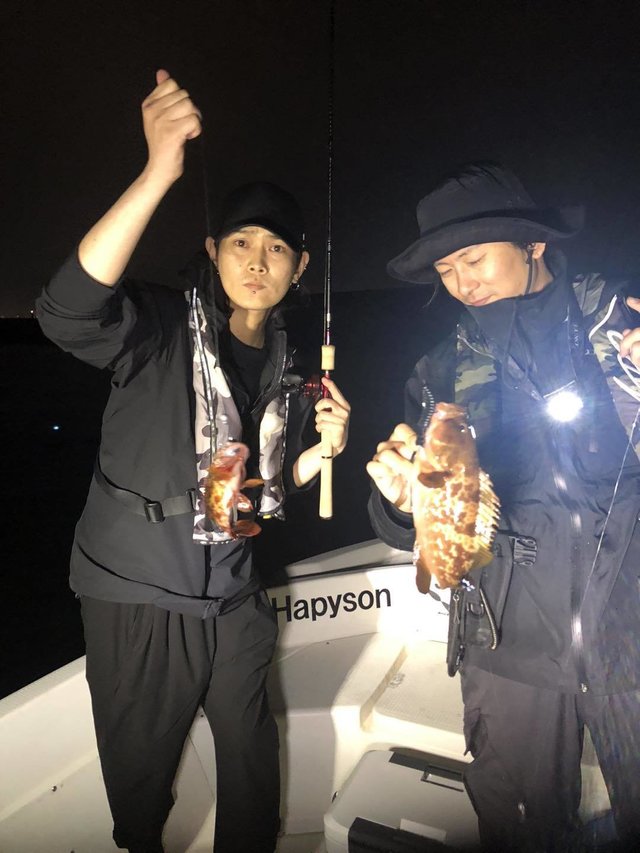 アコウ(キジハタ)・カサゴ