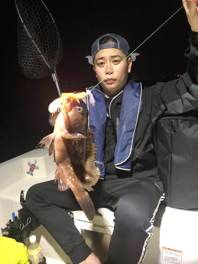 アコウ(キジハタ)