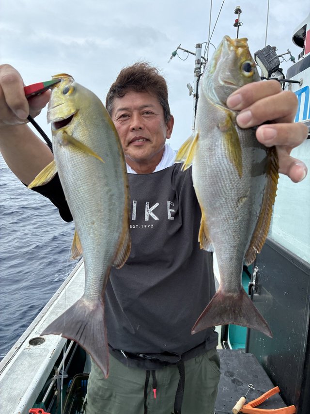 イサギ(イサキ)