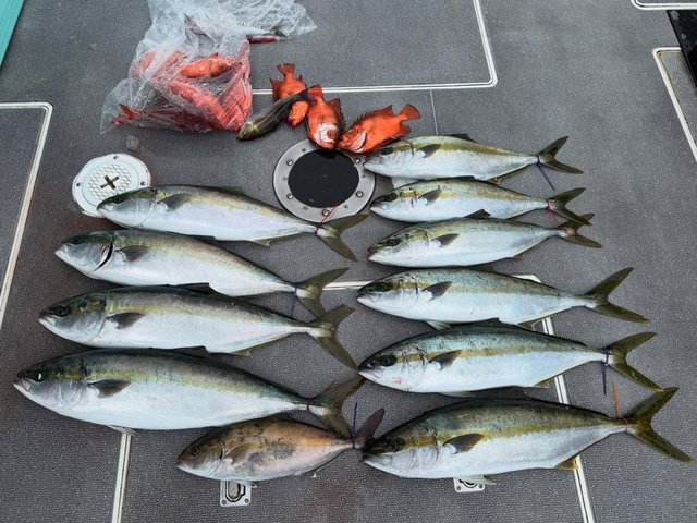 ブリ・チカメキントキ