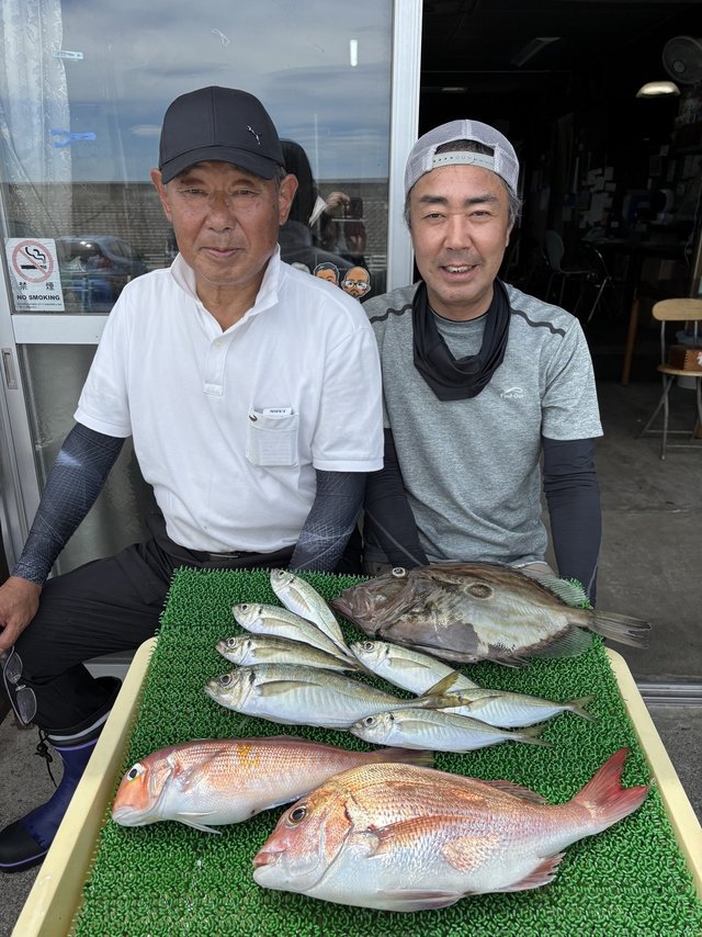 マダイ・アジ(マアジ)・マトウダイ