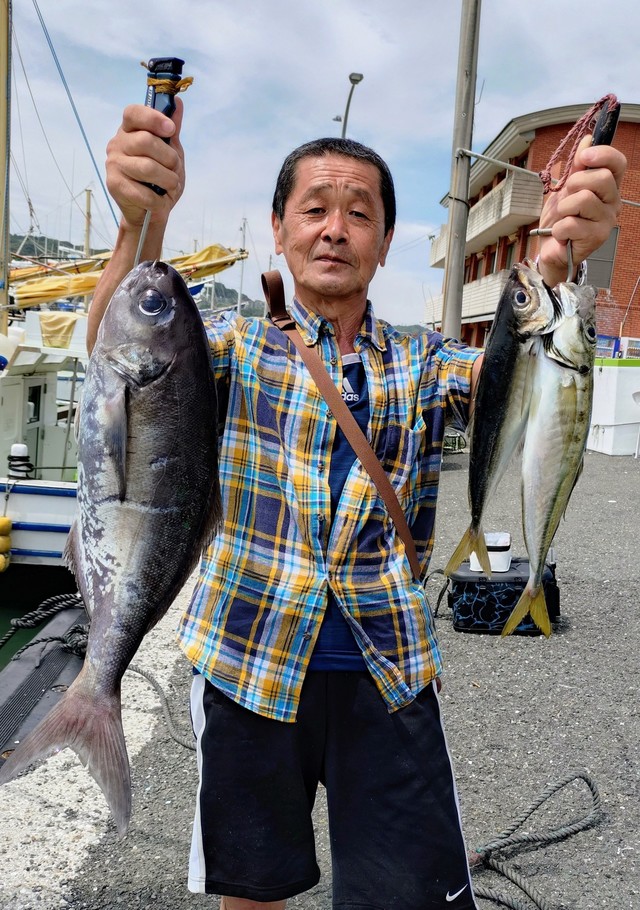 アジ(マアジ)・メダイ