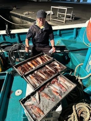 アカイカ(ケンサキイカ)