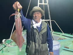 アカイカ(ケンサキイカ)