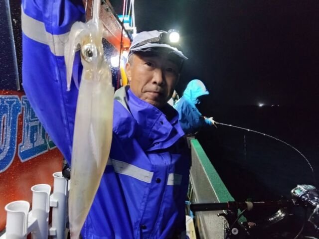 イカ(ヤリイカ)