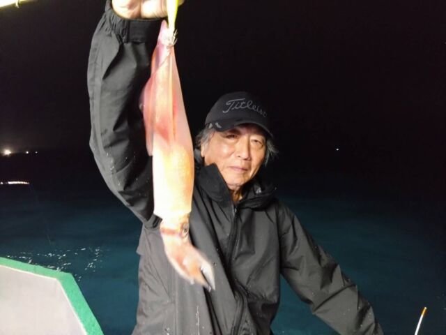 イカ(ヤリイカ)