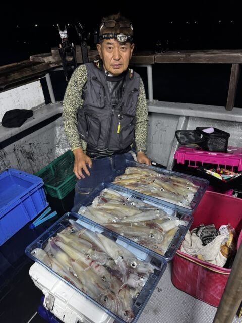 イカ(ヤリイカ)