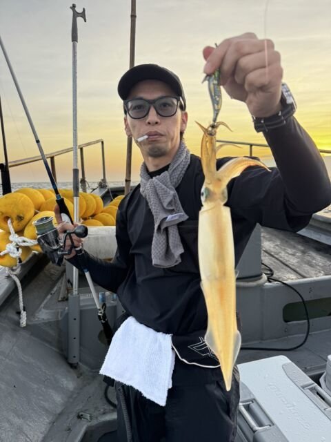 イカ(ヤリイカ)