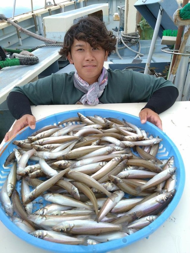 シロキス(シロギス)