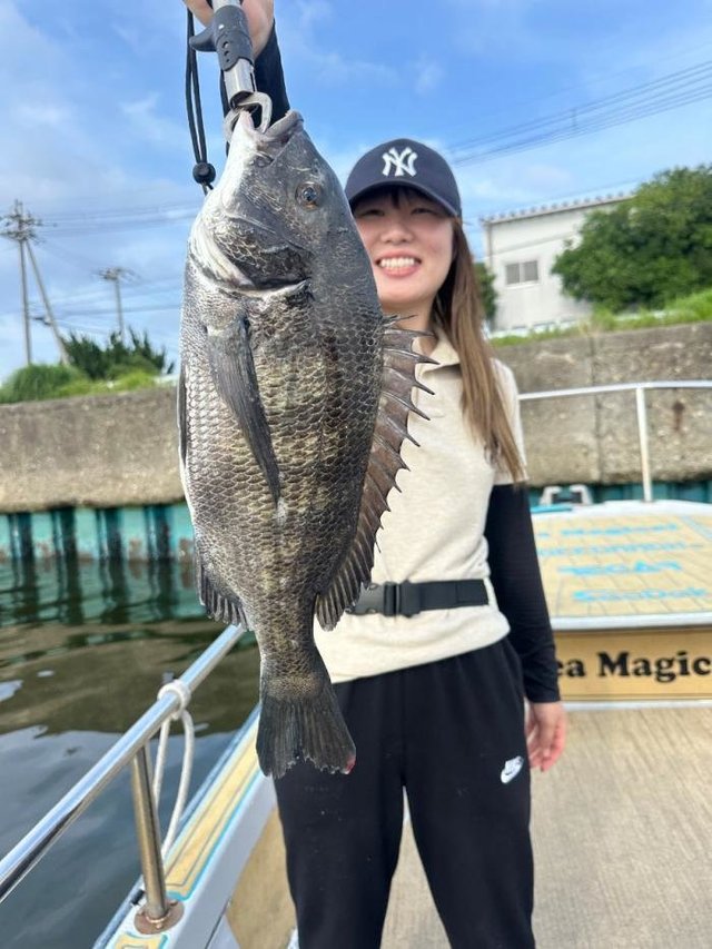 チヌ(クロダイ)