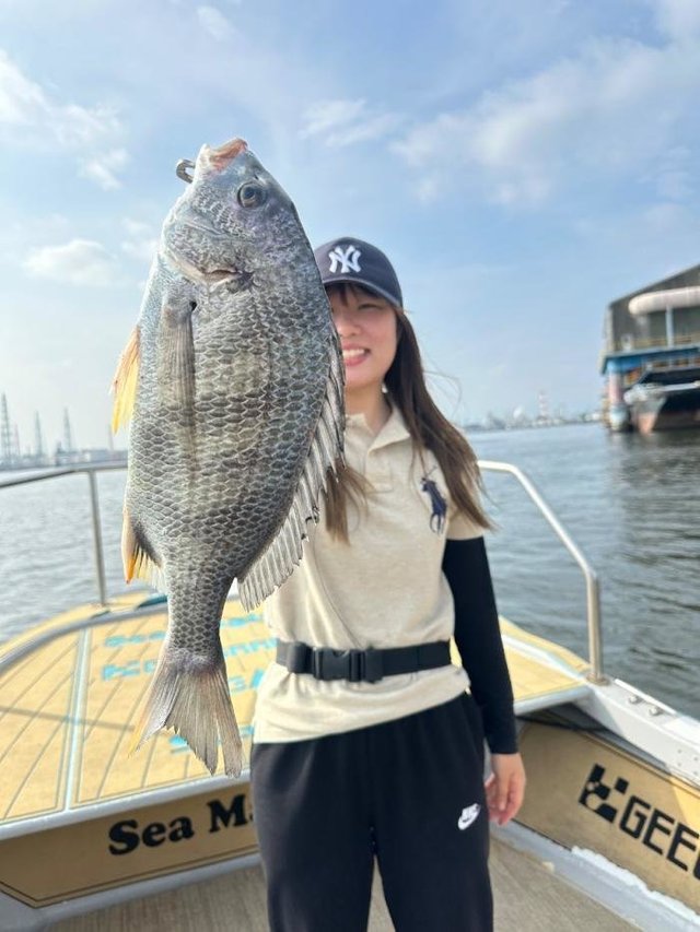 チヌ(クロダイ)