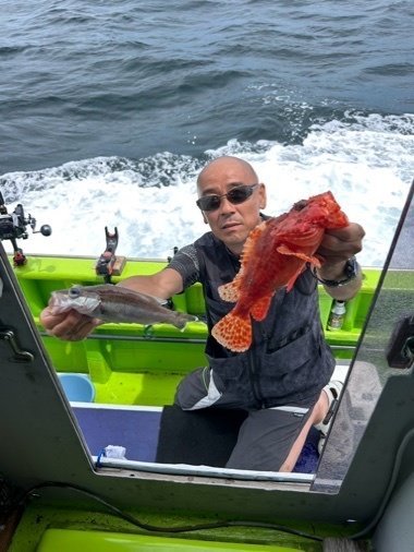 アラ・カンコ(ウッカリカサゴ)