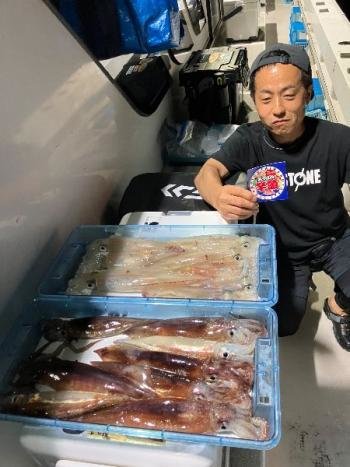 マイカ(ケンサキイカ)