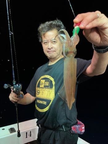 マイカ(ケンサキイカ)