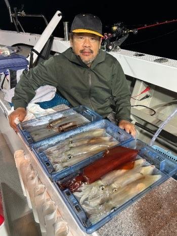 マイカ(ケンサキイカ)