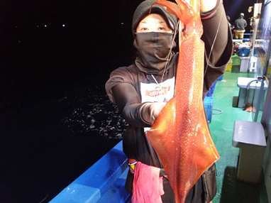 マイカ(ケンサキイカ)