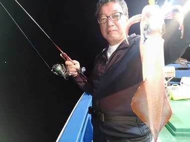 マイカ(ケンサキイカ)