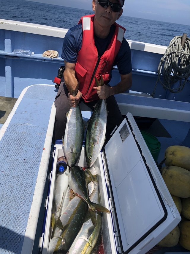 ワラサ(ブリ)・ヒラマサ