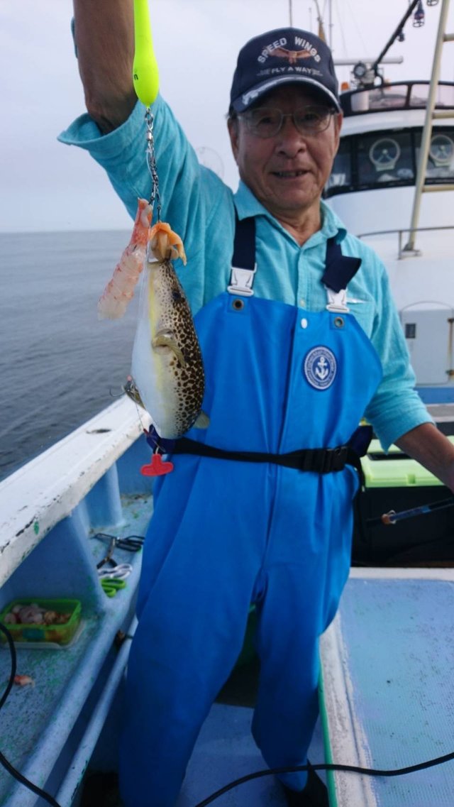 ショウサイフグ