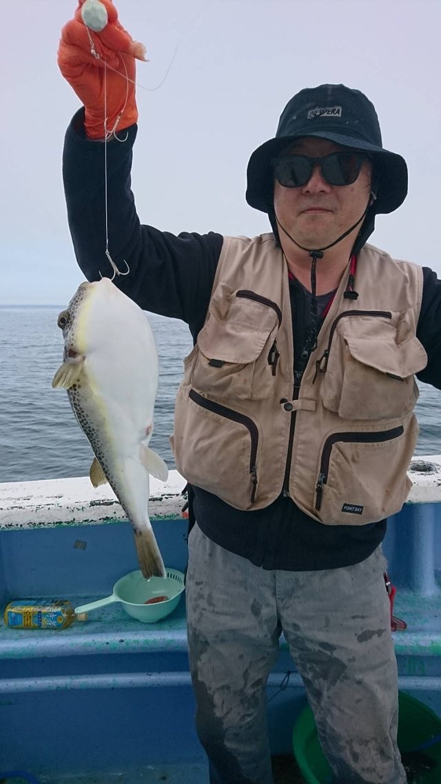 ショウサイフグ