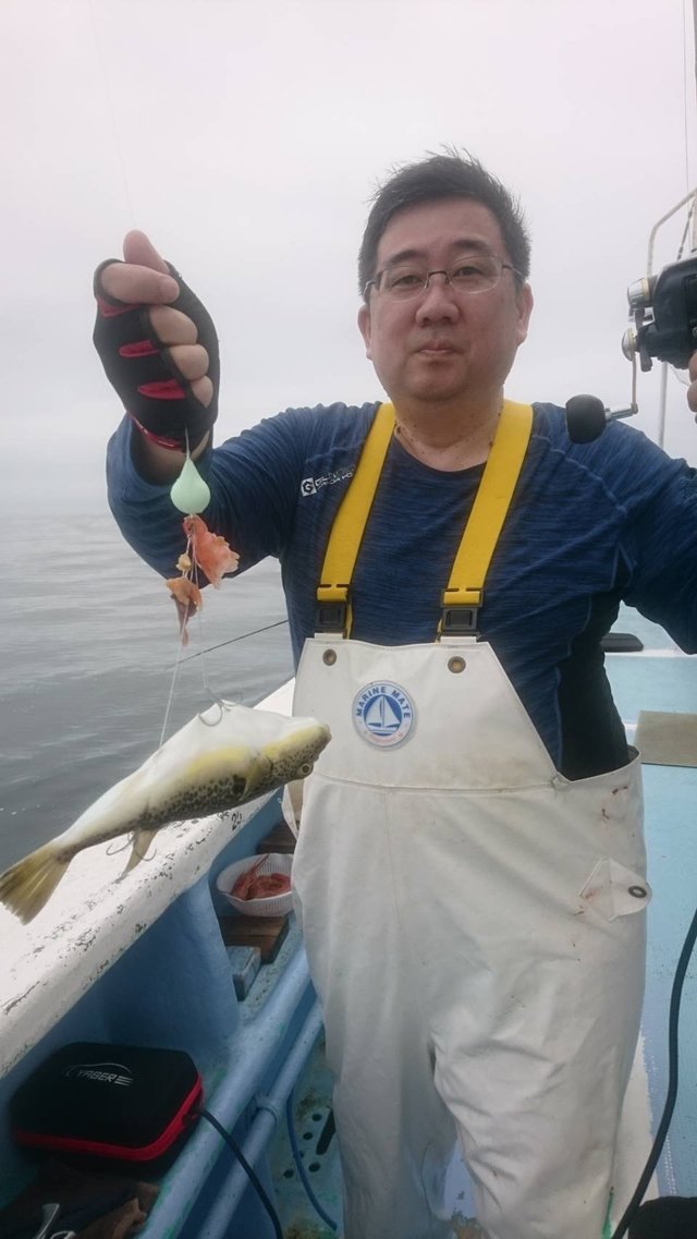 ショウサイフグ