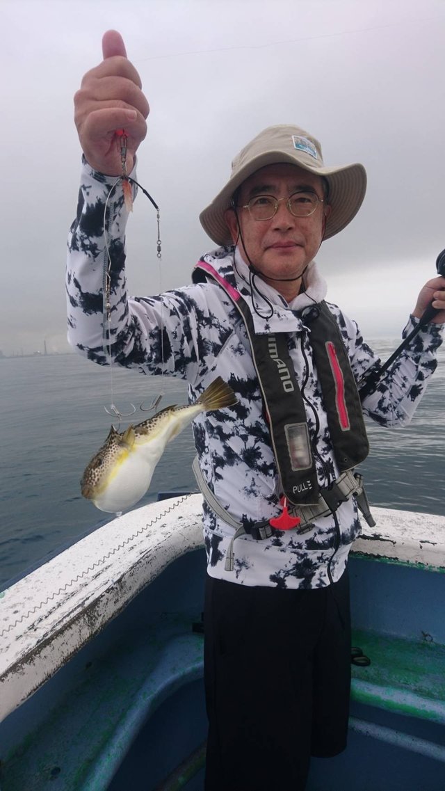 ショウサイフグ