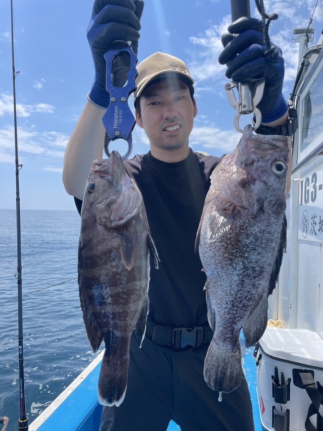 マハタ・クロソイ