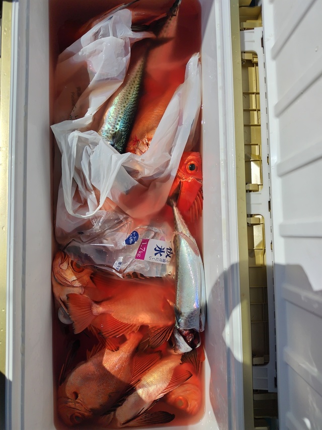 チカメキントキ