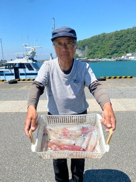 マルイカ(ケンサキイカ)