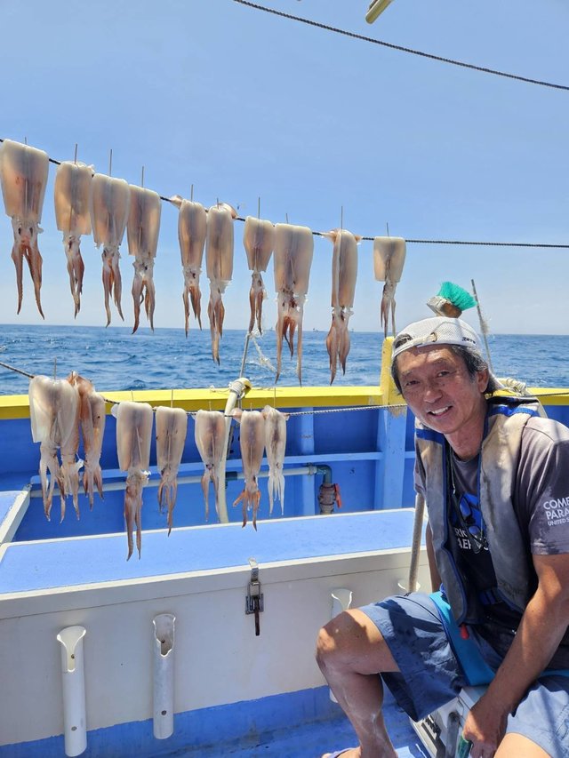 スルメ(スルメイカ)