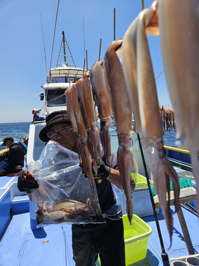 スルメ(スルメイカ)