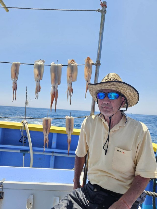 スルメ(スルメイカ)