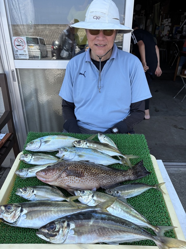 オオモンハタ・アジ(マアジ)