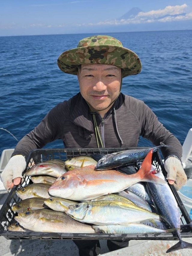 マダイ・アジ(マアジ)・イサキ・イトヨリ(イトヨリダイ)・サバ(ゴマサバ)