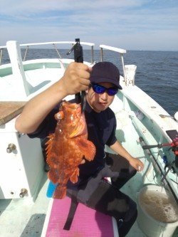 ウッカリカサゴ