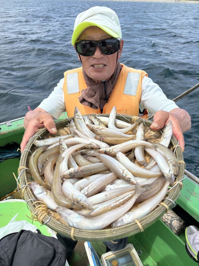 キス(シロギス)