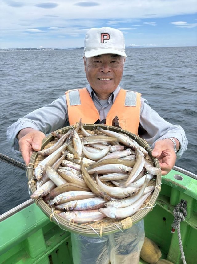 キス(シロギス)