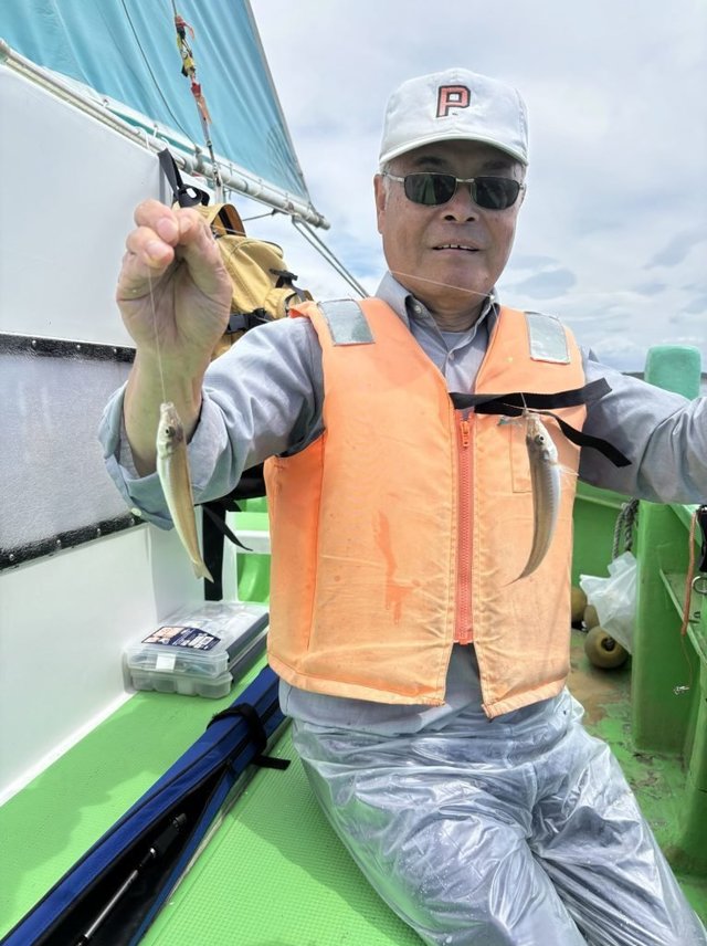 キス(シロギス)