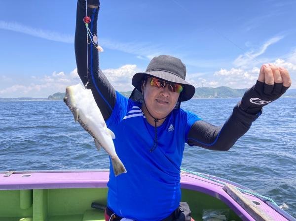 ショウサイフグ