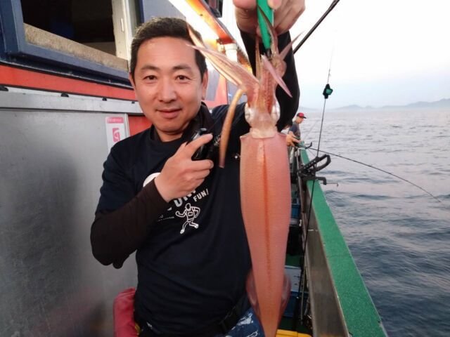 イカ(ヤリイカ)