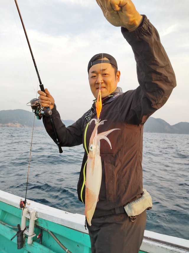 シロイカ(ケンサキイカ)