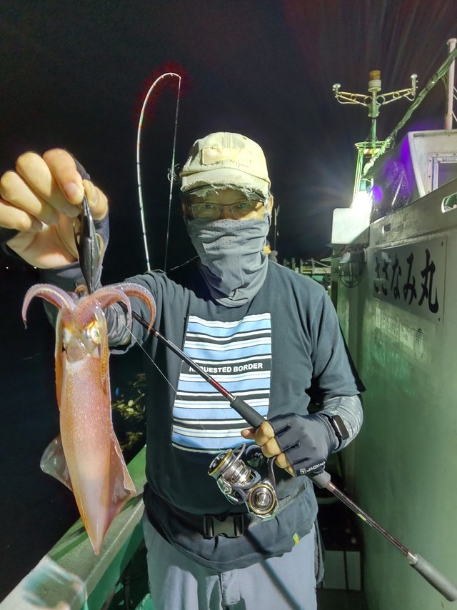 シロイカ(ケンサキイカ)