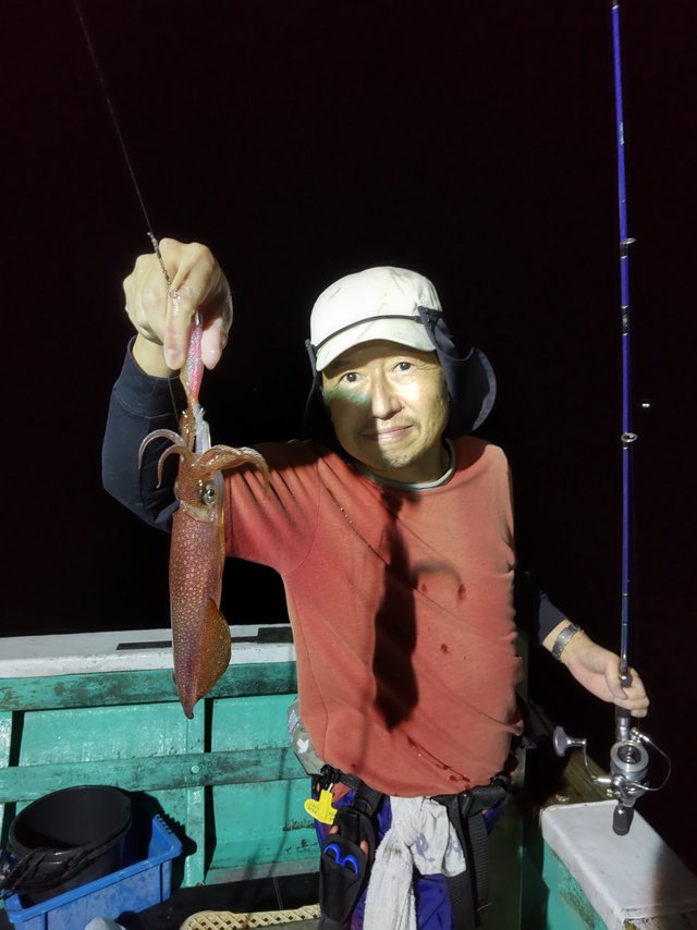 シロイカ(ケンサキイカ)