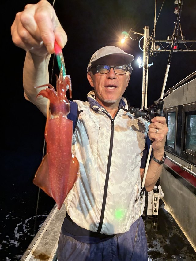 アカイカ(ケンサキイカ)