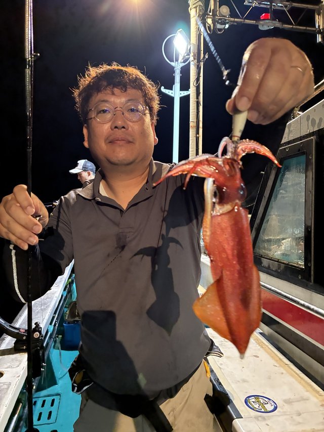 アカイカ(ケンサキイカ)