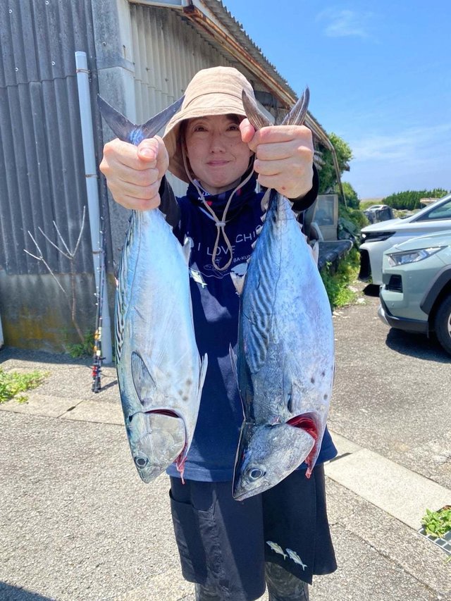 スマガツオ(スマ)