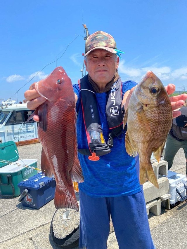 メイチダイ・カンダイ(コブダイ)